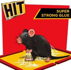 HIT RAT PAD 60/-